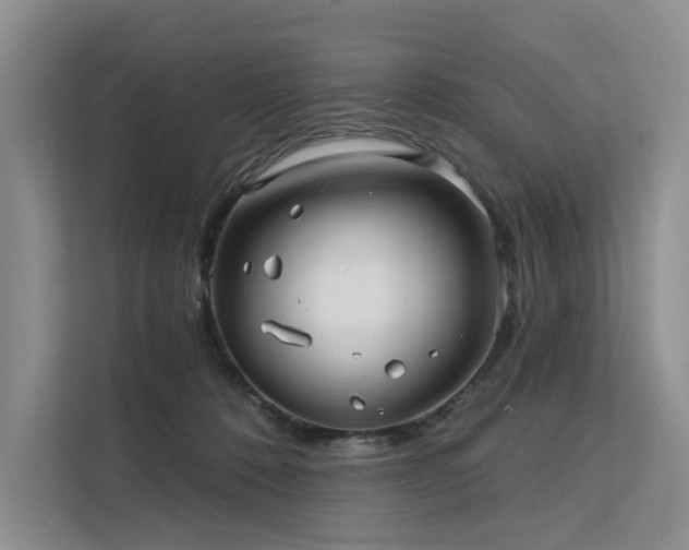 X0000112200320200908071439