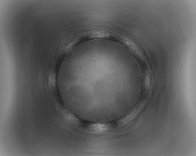 X0000112200326200908071439