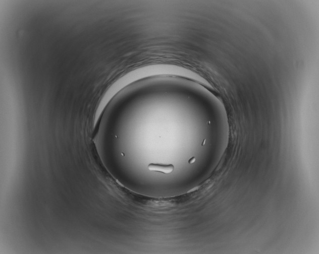 X0000112200327200908071439