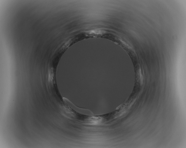 X0000112200328200908071439