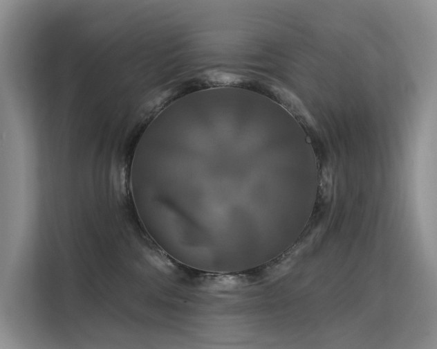 X0000112200330200908071439