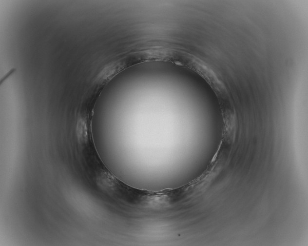 X0000112200333200908071439