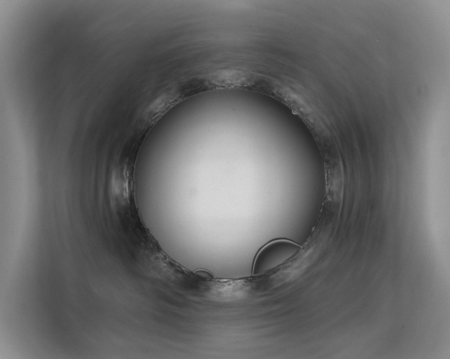 X0000112200334200908071439