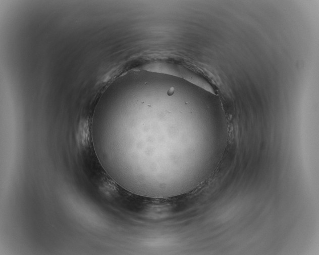 X0000112200335200908071439