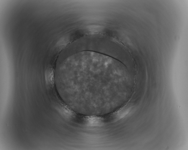 X0000112200336200908071439