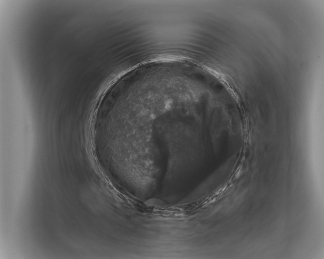 X0000112200337200908071438