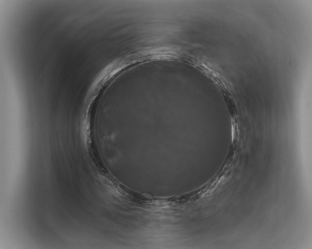 X0000112200339200908071438