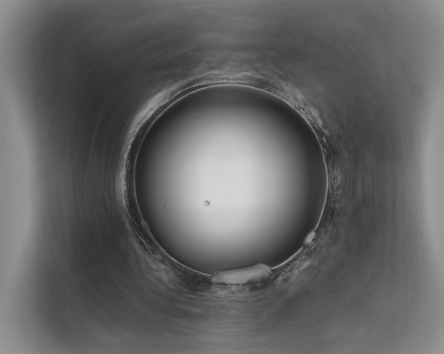 X0000112200340200908071438