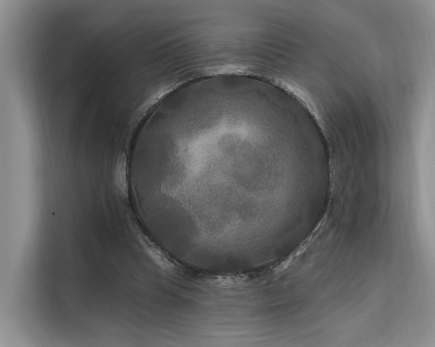 X0000112200345200908071438