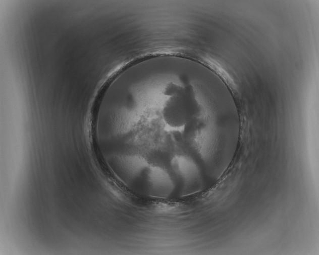 X0000112200346200908071438