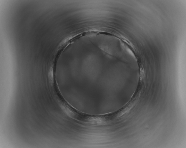 X0000112200349200908071438