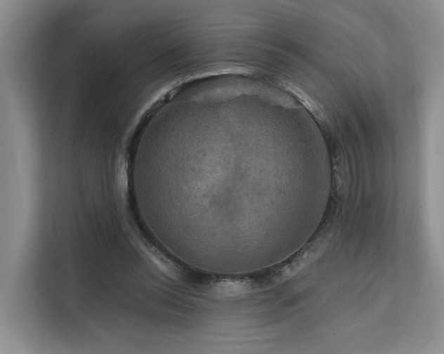 X0000112200350200908071438