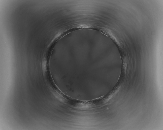X0000112200351200908071438