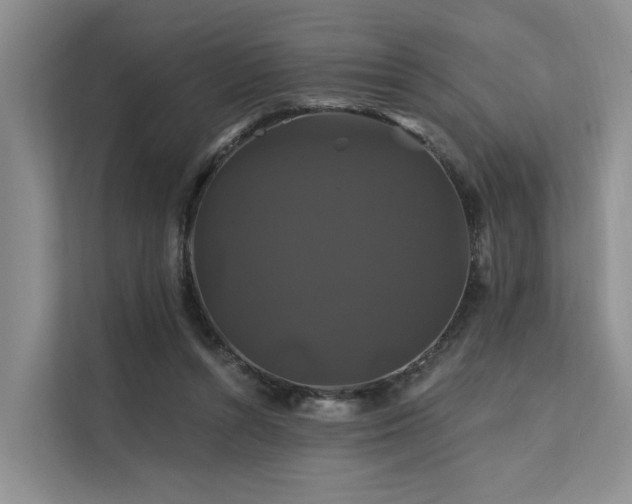 X0000112200352200908071438