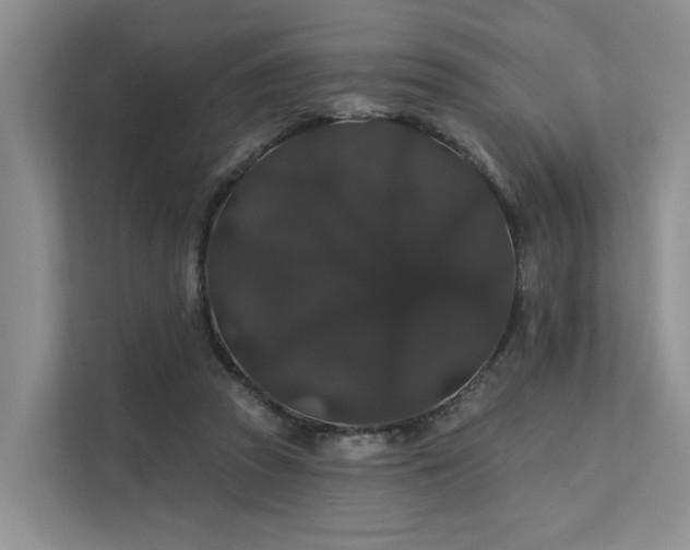 X0000112200353200908071438