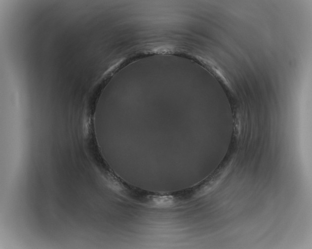 X0000112200355200908071438