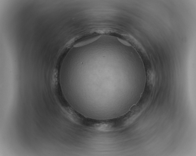 X0000112200356200908071438