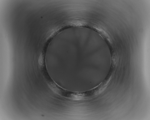 X0000112200359200908071438