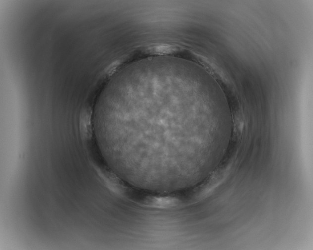 X0000112200360200908071438