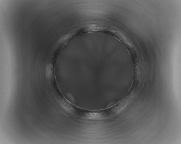 X0000112200361200908071438
