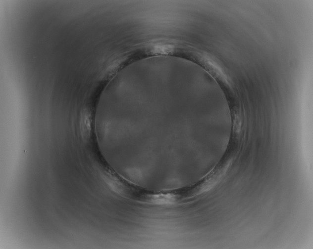 X0000112200363200908071438