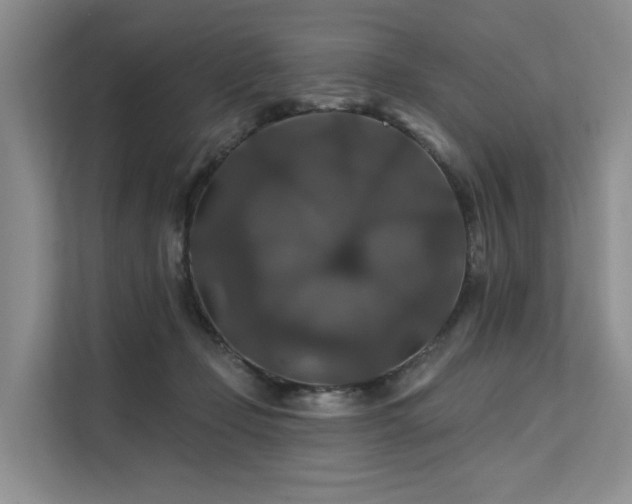 X0000112200365200908071439