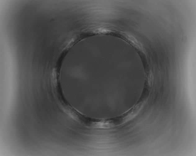 X0000112200366200908071439