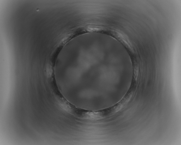 X0000112200367200908071439
