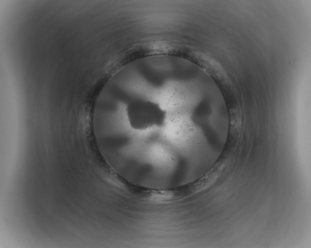 X0000112200369200908071439