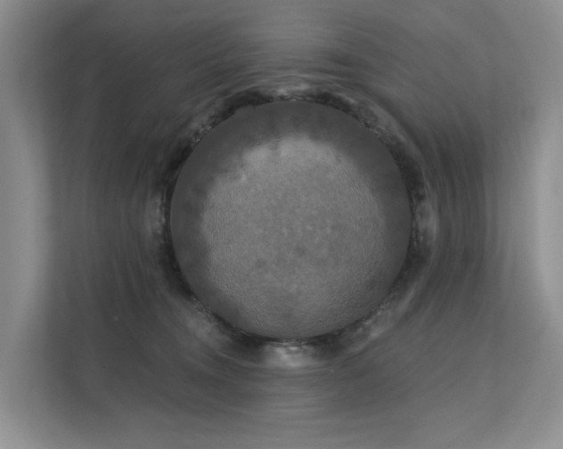 X0000112200372200908071439
