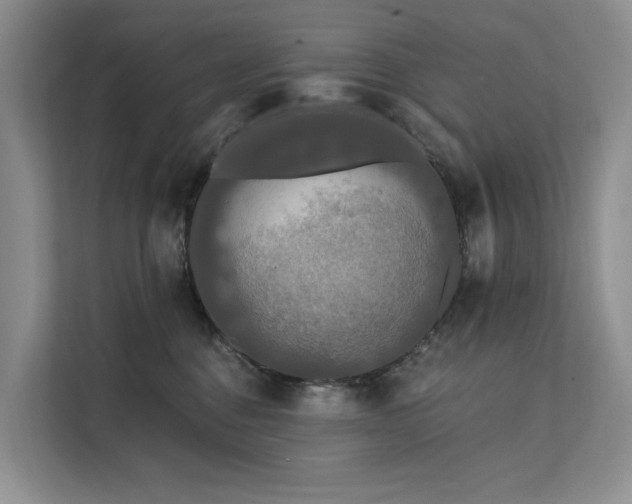 X0000112200376200908071439