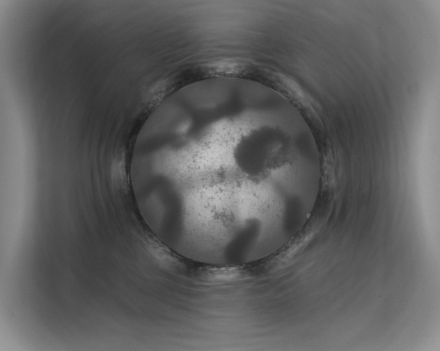 X0000112200377200908071439