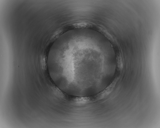 X0000112200378200908071439