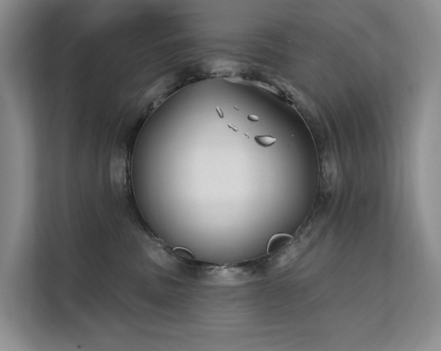 X0000112200379200908071439