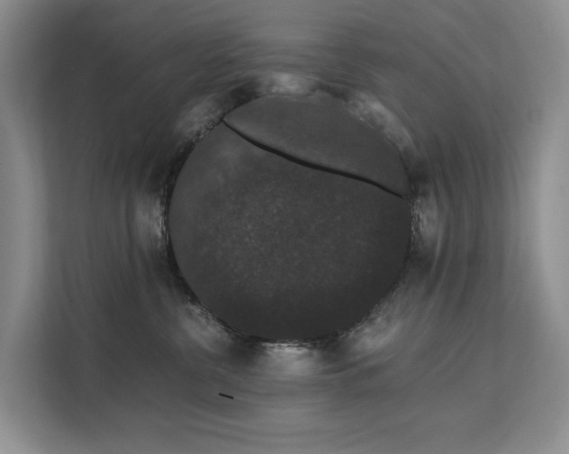 X0000112200380200908071439