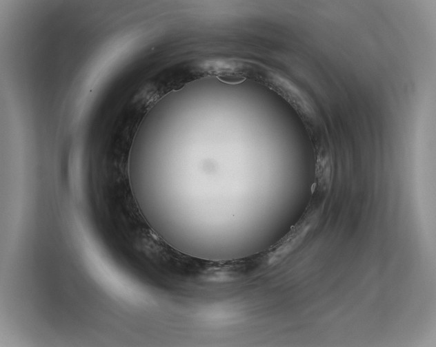 X0000112200381200908071439