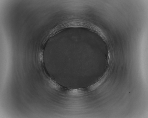 X0000112200382200908071439