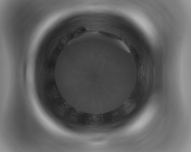 X0000112200383200908071439