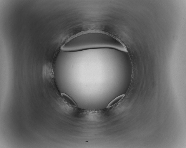 X0000112200384200908071439