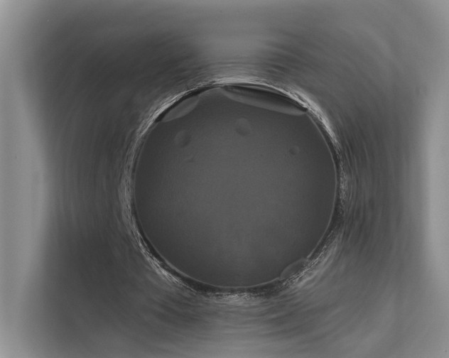 X0000112200385200908071438