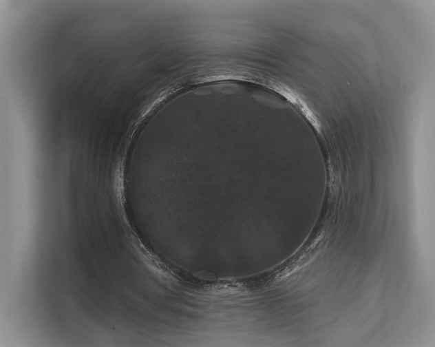 X0000112200386200908071438