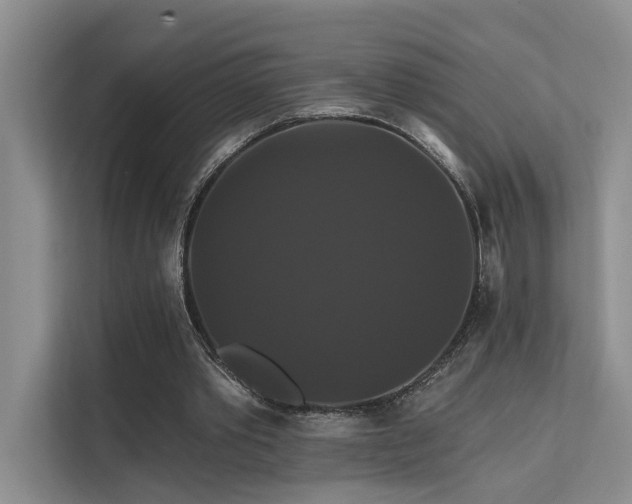 X0000112200389200908071438