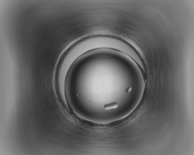 X0000112200391200908071438