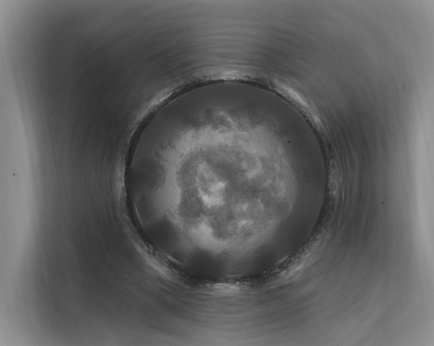 X0000112200394200908071438