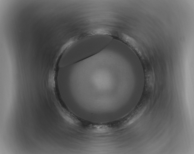 X0000112200395200908071438