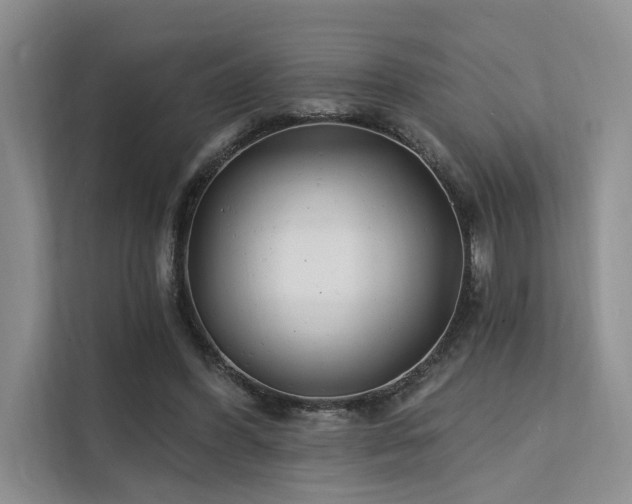 X0000112200396200908071438