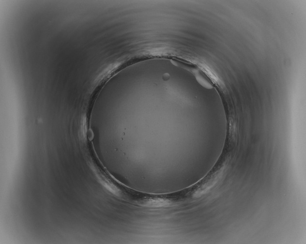 X0000112200397200908071438