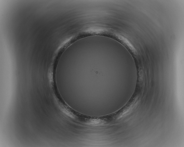 X0000112200399200908071438