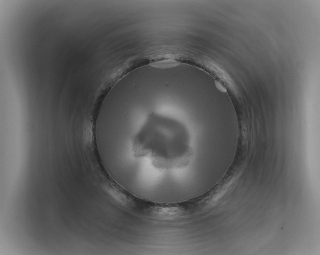 X0000112200401200908071438