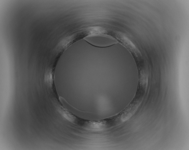 X0000112200405200908071438